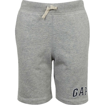 GAP V-hs logo short xs