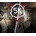 SCP: 5K