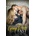 Going Down Fast - Carly Phillips