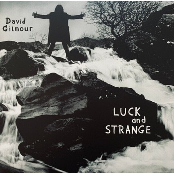 David Gilmour - Luck And Strange (Gatefold Sleeve) (Silver Opaque Coloured) (LP) (198028124416)