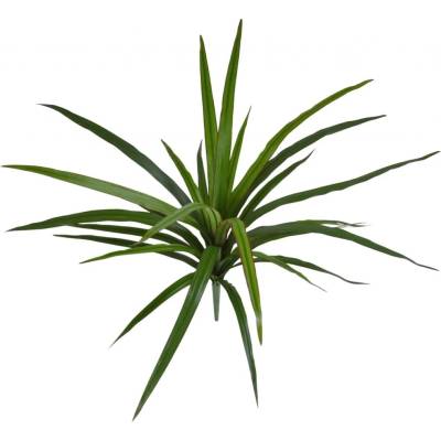 MF Umělá rostlina Dracena (40cm)