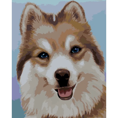 ZUTY Malování podle čísel HUSKY MYROSLAVA VOLOSCHUK Rozměr 80 x 100 cm Rámování bez rámu a bez vypnutí plátna