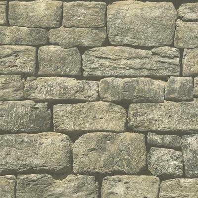A.S. Création 307221 vliesová tapeta na zeď Woods and Stone rozměry 0,53 x 10,05 m