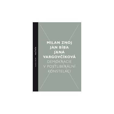 Demokracie v postliberální konstelaci - Milan Znoj:Jan Bíba:Jana Vargovčíková