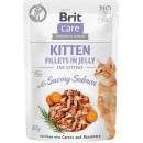 Brit Care Cat Fillets in Gravy with Savory Salmon 24 x 85 g