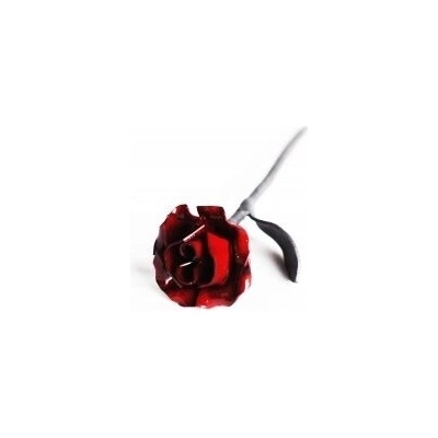 Keltská růže - bordó M (13 cm)