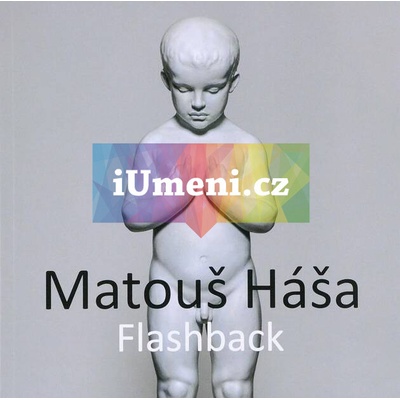 Matouš Háša - Flashback | Radek Wohlmuth