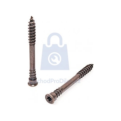 Vrut terasový RAPI-TEC TERASO ANTIK se závitem pod hlavou, TORX drážka, nerez A4 5,5 x 60, balení 200 ks