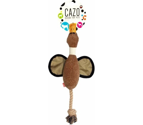 Cazo Divá kačka