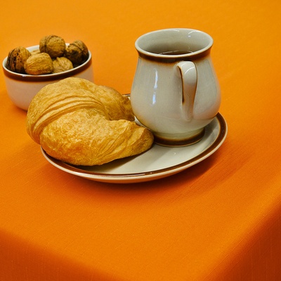 Olzatex Nešpinivý teflonový látkový ubrus UNI 4312 obdélník 120x160cm – Zboží Dáma