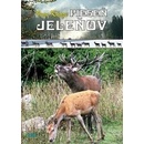 Pieseň jeleňov