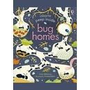 Peep Inside Bug Homes