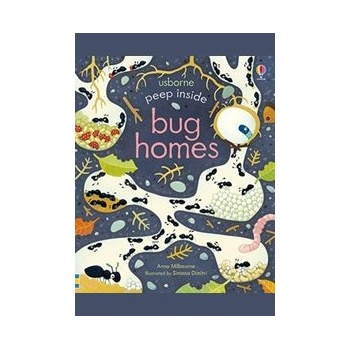 Peep Inside Bug Homes