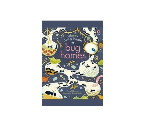 Peep Inside Bug Homes