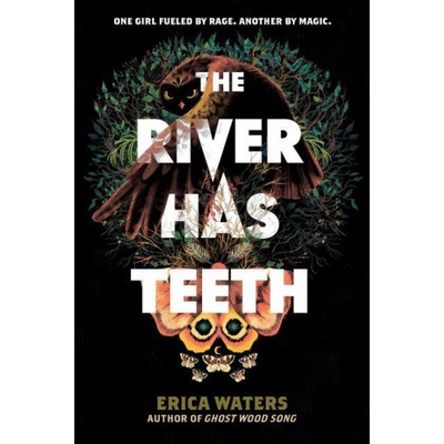 HarperCollins Publishers Inc River Has Teeth | Erica Waters