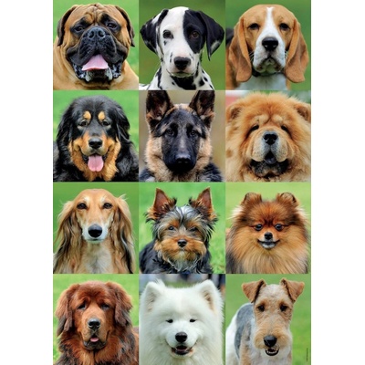 Educa Psí koláž 500 dílků