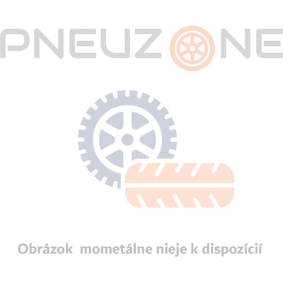 Bridgestone T31 190/50 R17 73W