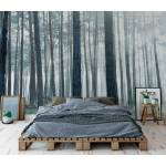 Art Gift Decor Фототапет Лъчи в мъглата