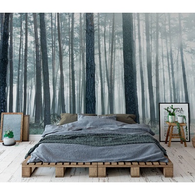 Art Gift Decor Фототапет Лъчи в мъглата