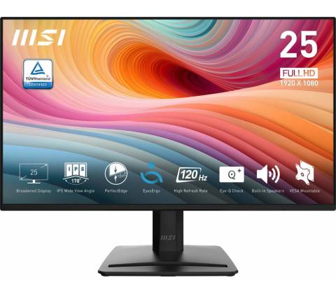 MSI PRO MP252 E2