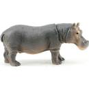 Atlas C - Hroch obojživelný 12 cm