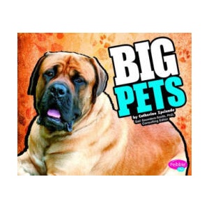 Big Pets (ISBN: 9781429639972)