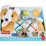 Mattel 3-in-1 Puppy Tummy Wedge (hjw10)