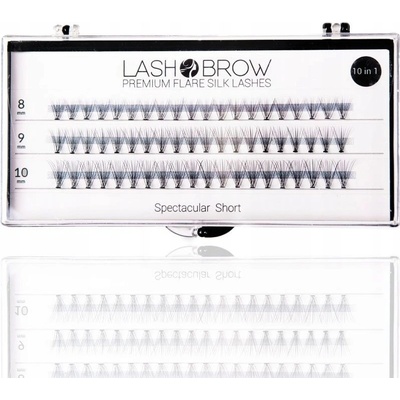 Lash Brown Premium Flare Silk Lashes Spectacular Short 60 ks