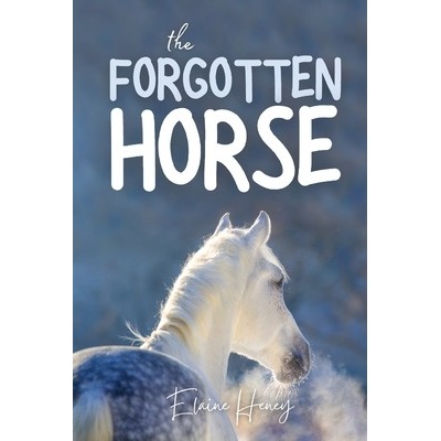 The Forgotten Horse - Book 1 in the Connemara Horse Adventure Series for Kids. The perfect gift for children age 8-12. Heney Elaine