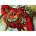 Gold Puzzle Collection - Puzzle Dima Strelkoff: Burden of Passions - 1 000 piese