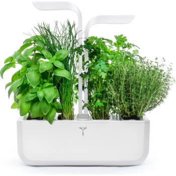 Véritable Саксия Veritable Classic (VPOT-CAWAW-EU2-155)