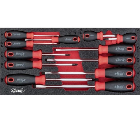 VIGOR V4989