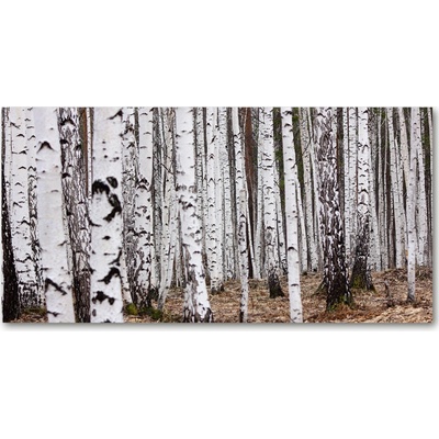 Fotoobraz na skle breza 100x50 cm