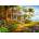 Castorland - Puzzle Palm House - 1 500 piese