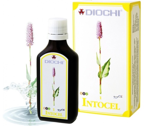 Diochi Intocel kapsle 90 kapsúl