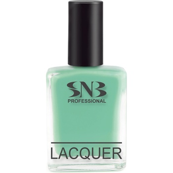 SNB Лак за нокти snb Ася, светло зелен, 15 мл (nlm05)