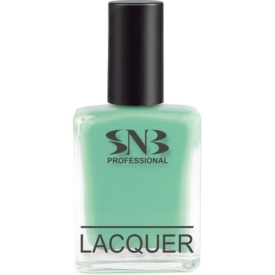 SNB Лак за нокти snb Ася, светло зелен, 15 мл (nlm05)