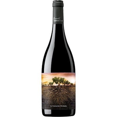 Proyecto Garnachas La Garnacha Olvidada De Aragon červené 15,5% 0,75 l (čistá fľaša)