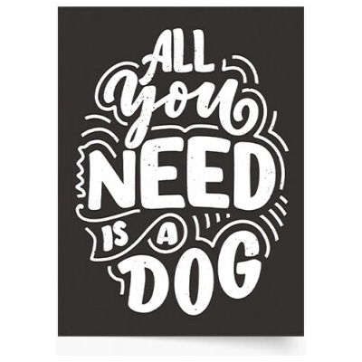 Plagát All you need is dog 70x100 - 77539