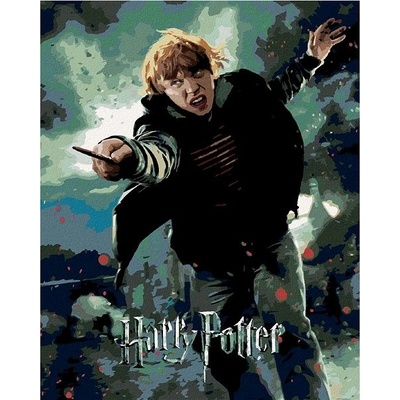 Zuty Plagát Harry Potter a relikvia smrti Ron 40 x 50 cm plátno napnuté na rám 6066641