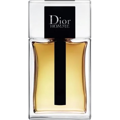 Dior Dior Homme (2020) EDT 100 ml Tester