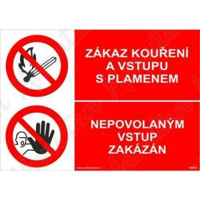Zákaz kouření a vstupu s plamenem, samolepka 420 x 297 x 0,1 mm A3