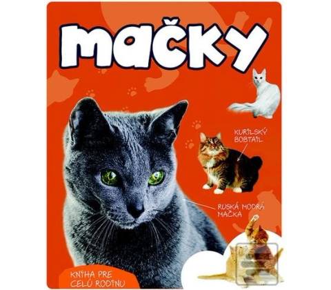 Mačky