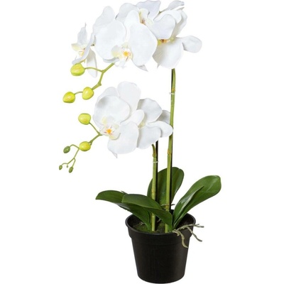 Gasper Umělá orchidej v květináči, 55 cm, bílá