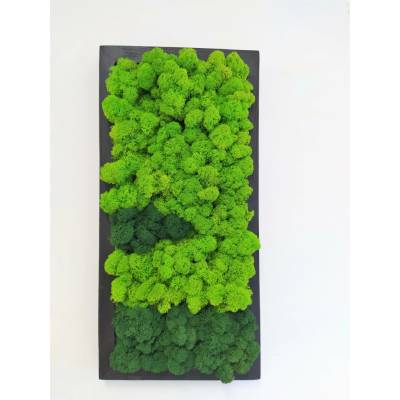 Mechový obraz v černém dřevěném rámu 50cm x 25cm