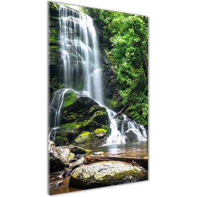 Vertikálny foto obraz fotografie na skle Vodopád v džungli 50x100 cm