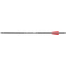 Poe Lang Siege Carbon 15,5″ 1 ks