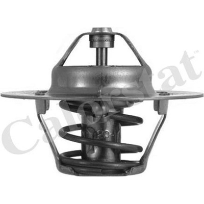 Termostat, chladivo CALORSTAT by Vernet TH4608.88J
