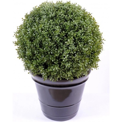 BUXUS KOULE REGULAR NEW, 79cm