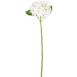 Bizzotto ИЗКУСТВЕНА КЛОНКА hydrangea 67cm КРЕМ (0172298)